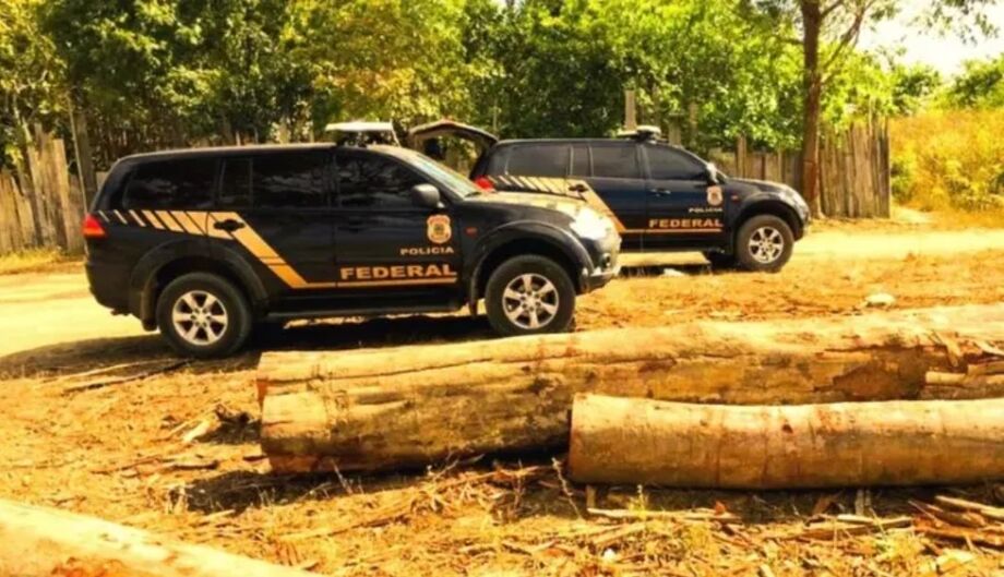 Imagem da Operação Handroanthus GLO.