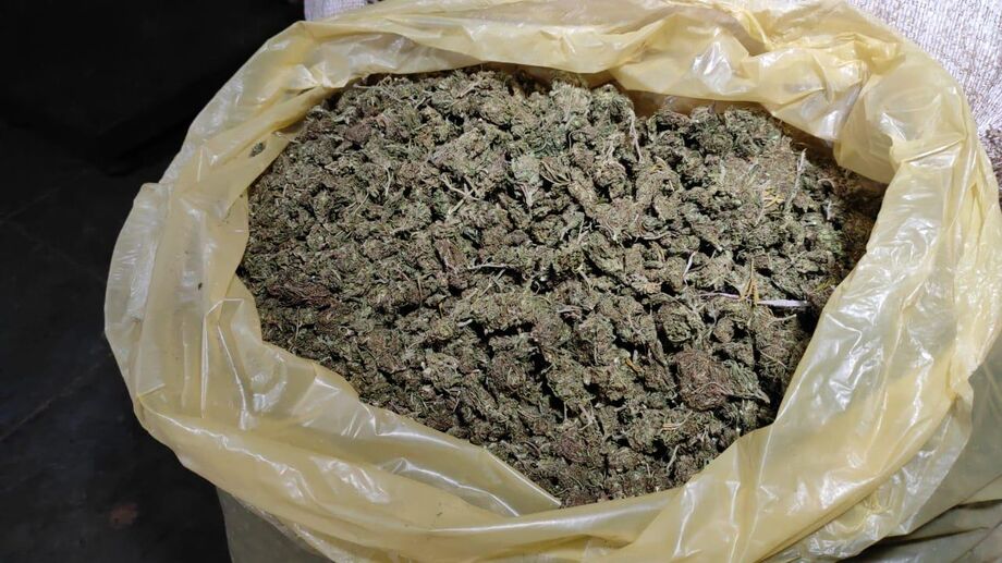 Droga apreendida pela Polícia Civil