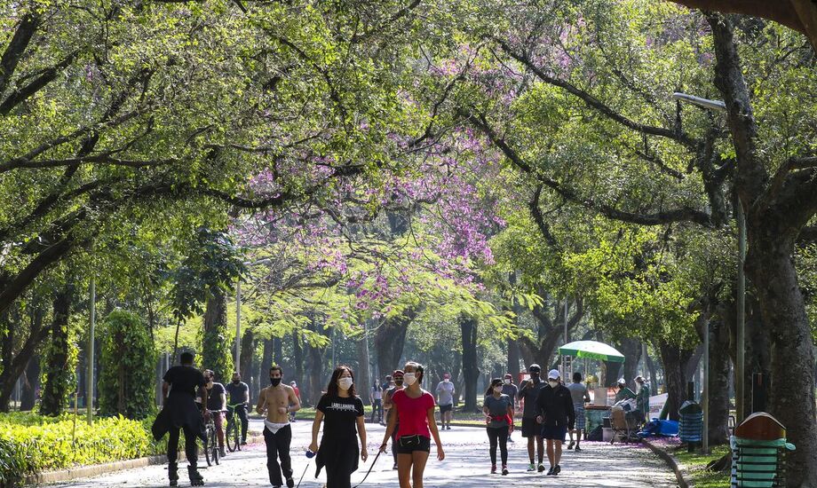 O Brasil chegou, nesta segunda-feira (19), ao número total de 542.756 vidas perdidas em função da pandemia do novo coronavírus