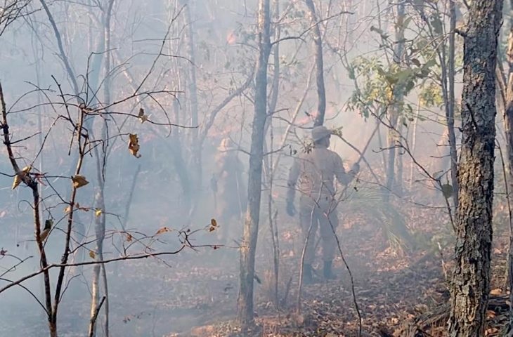 Corpo de Bombeiros monitora incêndios com imagens de satélite e amplia fiscalização em áreas de focos