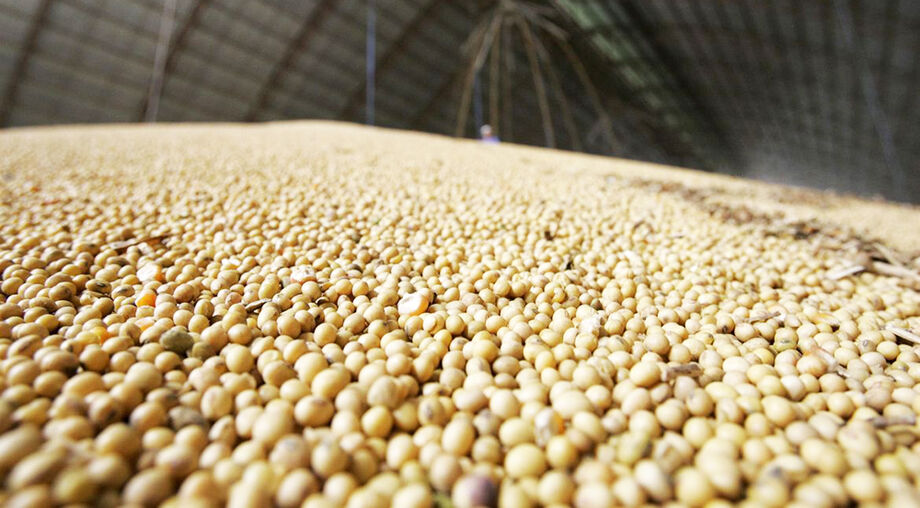 Os financiamentos da atual safra poderão ser contratados pelos agricultores de 1º de julho deste ano a 30 de junho de 2022