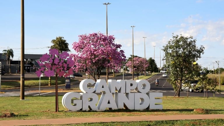 Os ipês florescem no inverno e primavera, no entanto, nem sempre a florada dos ipês segue exatamente uma ordem de floração