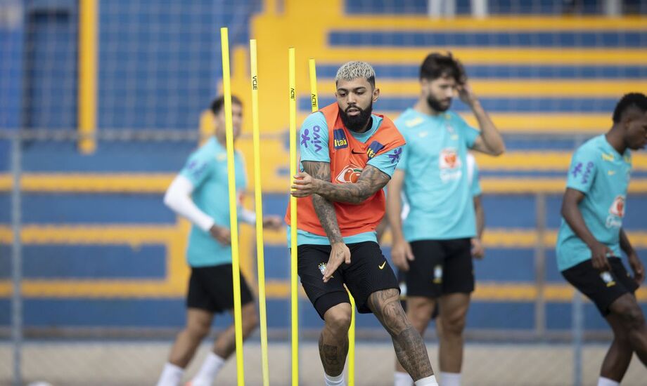 Seleção brasileira copa américa