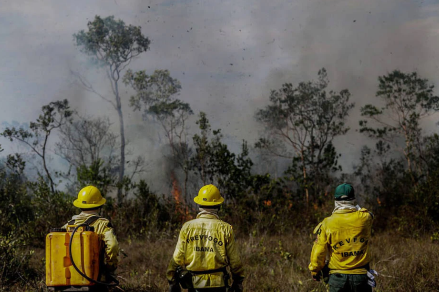 Brigadistas do IBAMA combatem incêndio em unidade de conservação ambiental na região de Manicore, no Amazonas