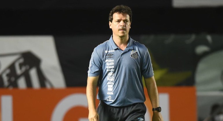 Técnico Fernando Diniz