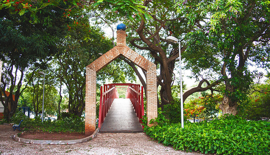 O Parque Florestal Antonio de Albuquerque (Horto Florestal)