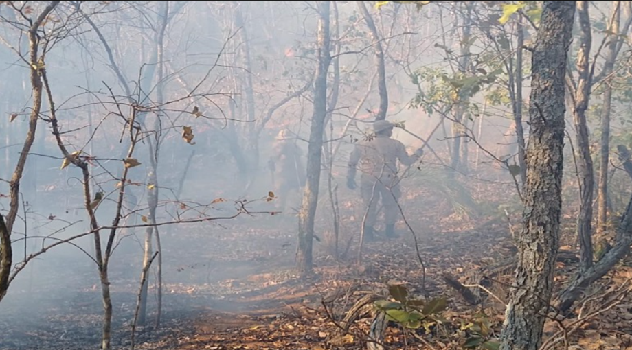 Cinquenta bombeiros continuam na área realizando a última etapa do combate, que é o monitoramento para evitar novos foco