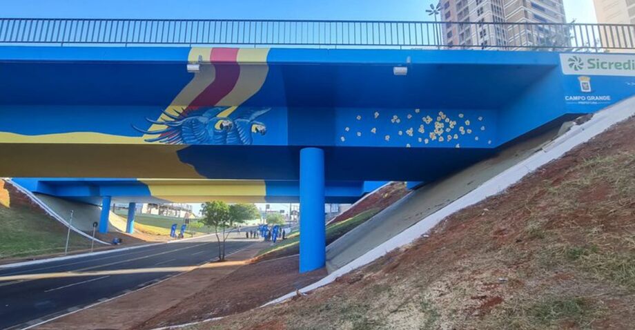 A obra representa a identidade da Cidade impressa no viaduto, no qual representa as cores da bandeira e as araras urbanas, segundo a vice-prefeita