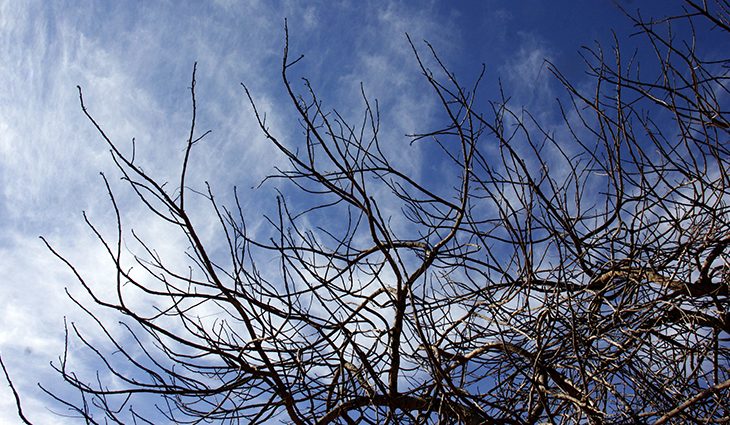 Páscoa pode ter recorde de frio