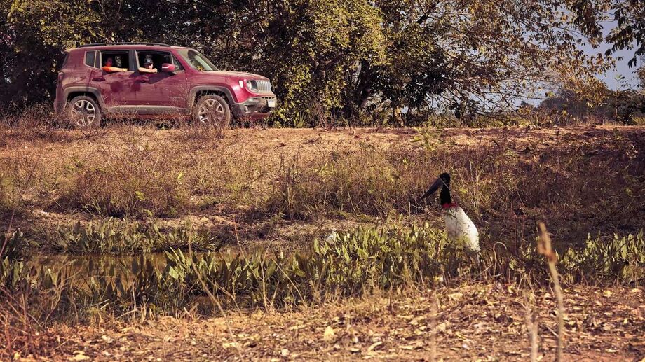 Renegade na expedição de Lawrence com seus filhos.
