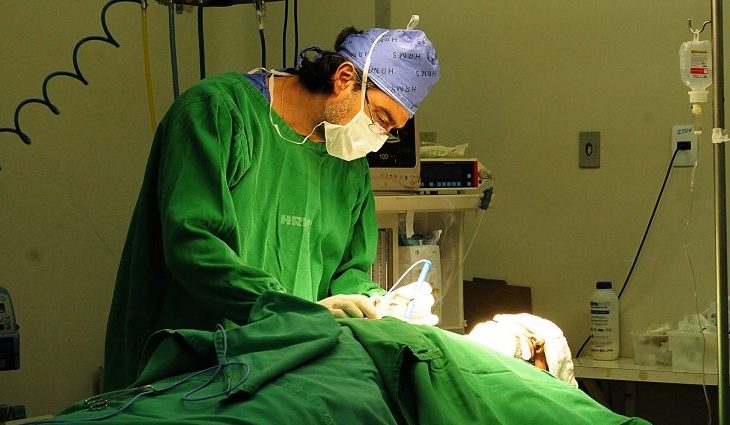 Organização de Procura de Órgãos e Tecidos (OPO).