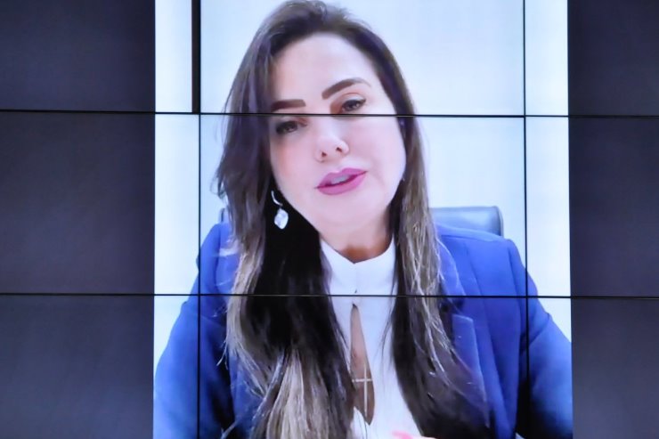 Assunto foi puxado na tribuna pela líder do Governo na Casa de Leis, deputada Mara Caseiro