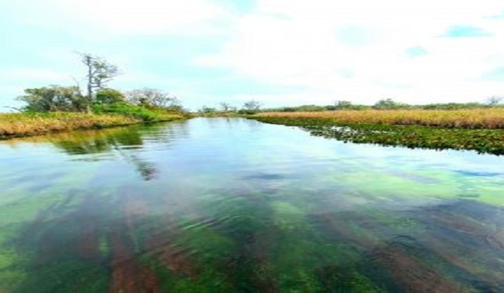 Live da Fundação de Turismo de Mato Grosso do Sul será realizada nesta quarta-feira (18)