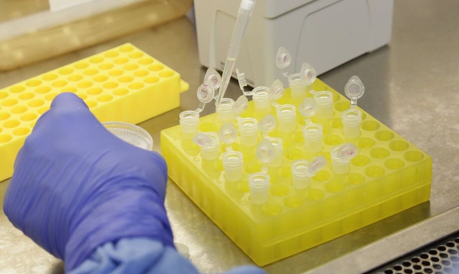 A ação com os laboratórios foi iniciada em abril de 2021