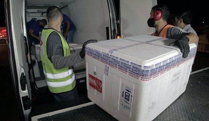 Os dois lotes desembarcam no Aeroporto Internacional de campo Grande