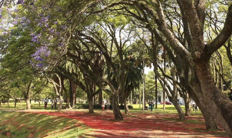 As novas regras da fase de transição vão valer entre os dias 1 e 16 de agosto