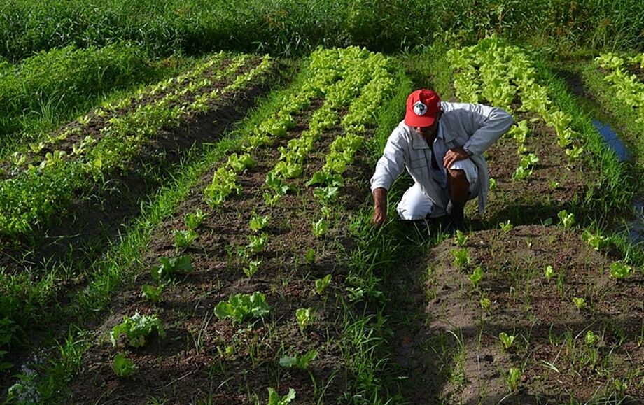 Parceria entre Prefeitura e UFMS vai capacitar pequenos produtores e ajudar na comercialização da agricultura familiar