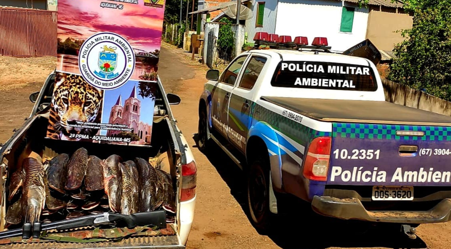 Apreensão PMA