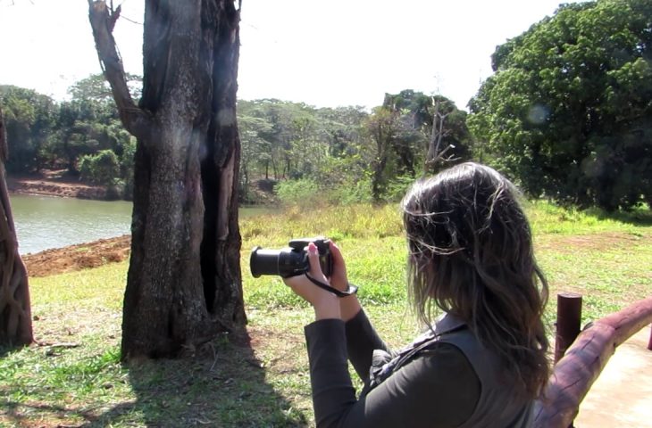 O concurso tem por finalidade promover a produção audiovisual independente sobre o tema: Aves do Mato Grosso do Sul em Imagens e Sons