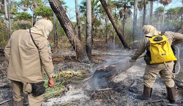 Durante monitoramento, pequenos focos de calor foram combatidos e extintos