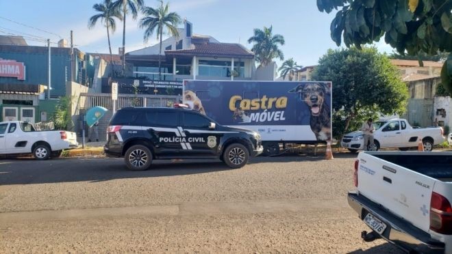 A castração está acontecendo na Capital