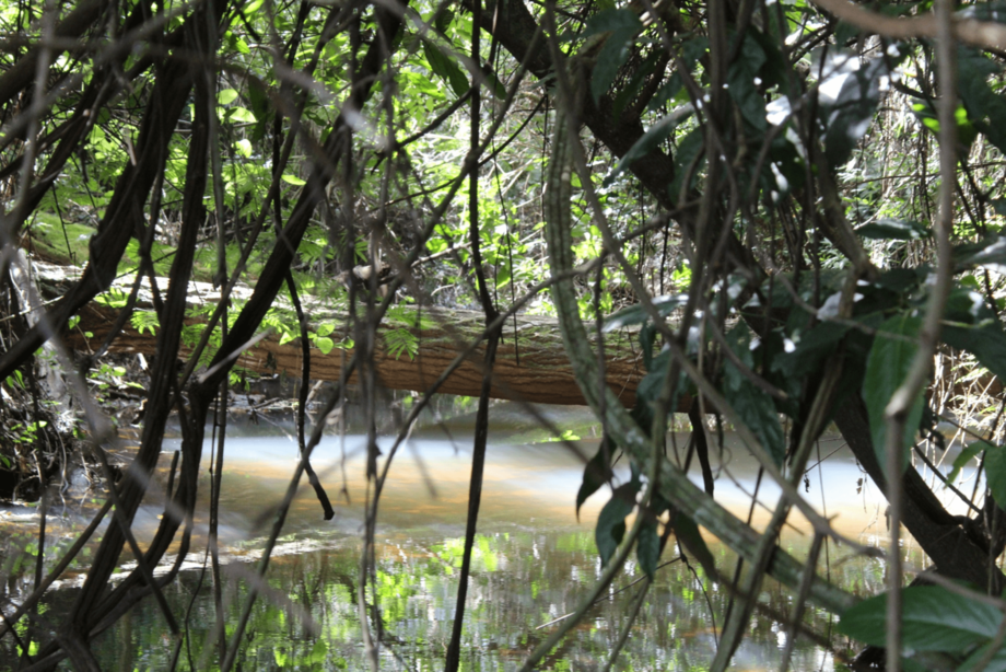 Natureza
