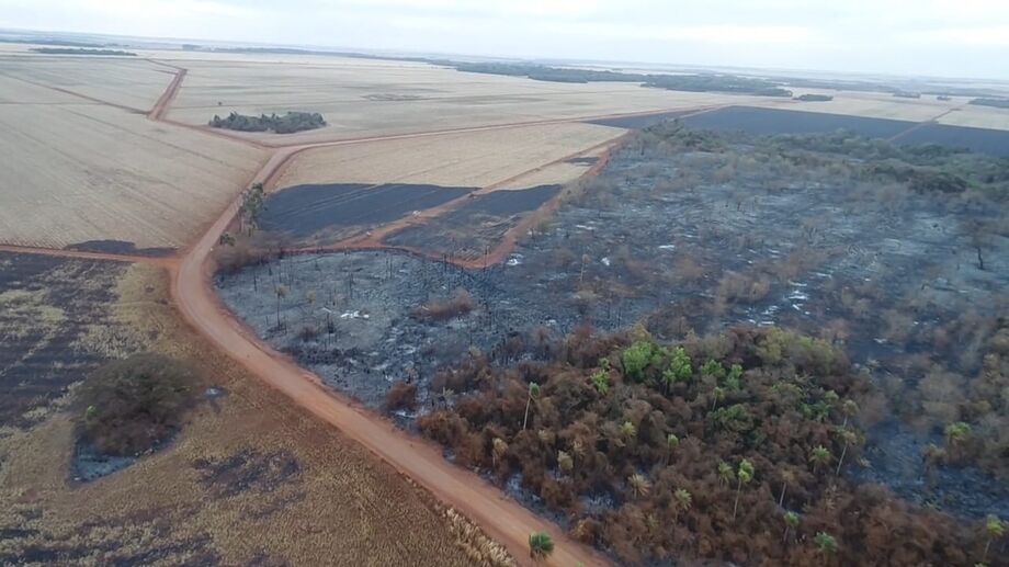Todos os responsáveis poderão responder também por crime culposo de provocar incêndio em mata ou floresta. A pena é de seis meses a um ano de detenção