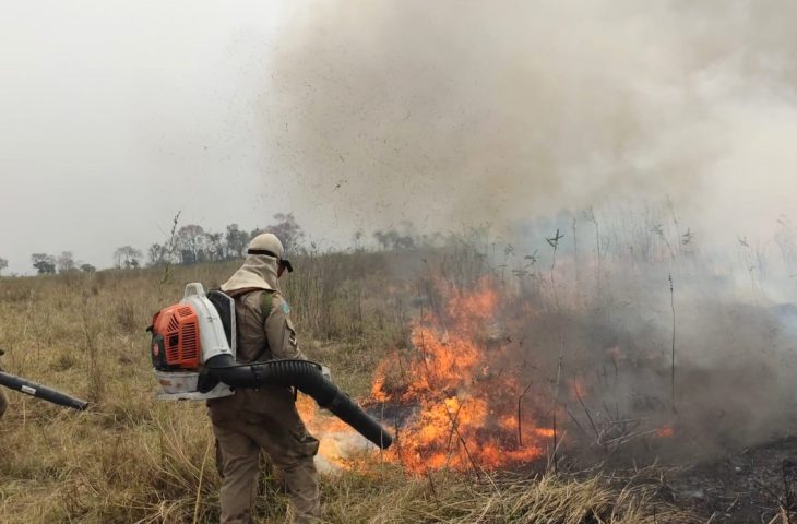 Bombeiros combatem os focos de calor no Pantanal