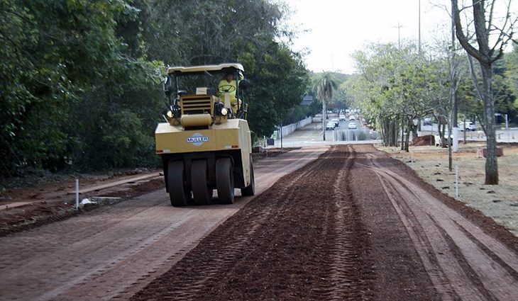 Atenção a obras e animais na pista por causa do recente incêndio que atingiu uma área do Parque dos Poderes