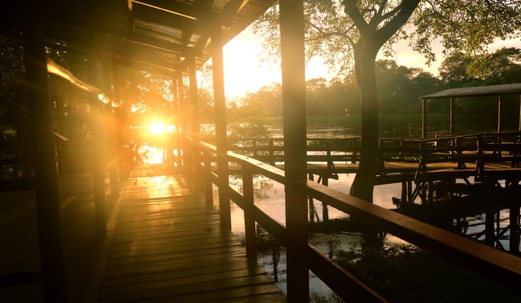 Pantanal - MS