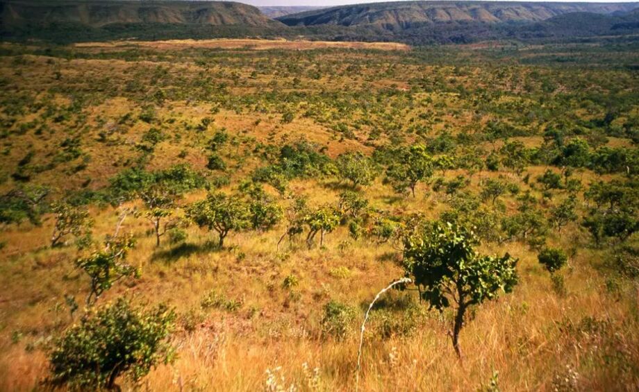 Objetivo da campanha é conscientizar pessoas sobre os meses de estiagem do Cerrado