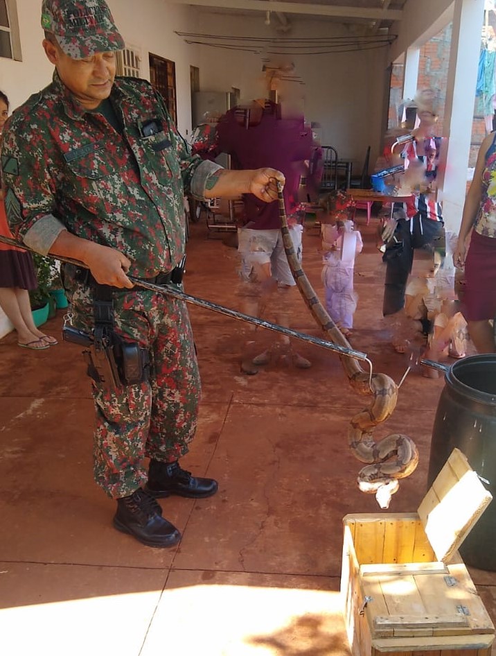A jiboia foi localizada no Conjunto Residencial Recanto dos Rouxinóis