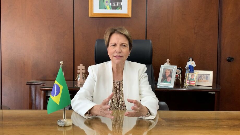 Tereza Cristina Corrêa da Costa Dias, Ministra da Agricultura, Pecuária e Abastecimento
