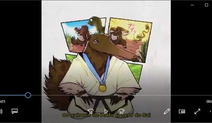 Vídeo MS