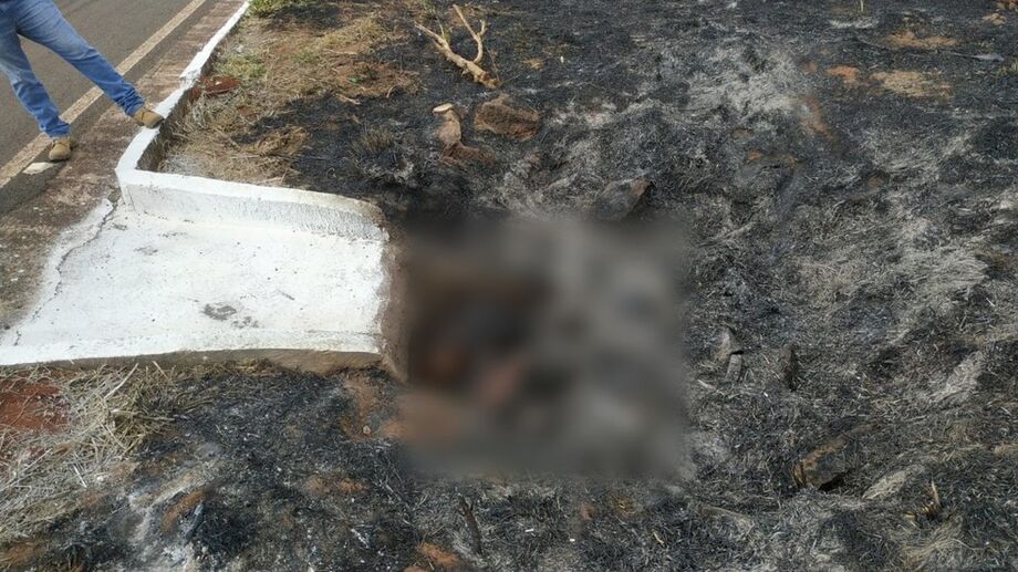 Os corpos foram encontrados