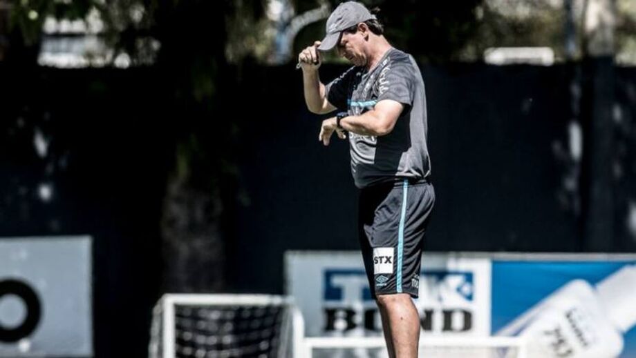 O técnico Fernando Diniz