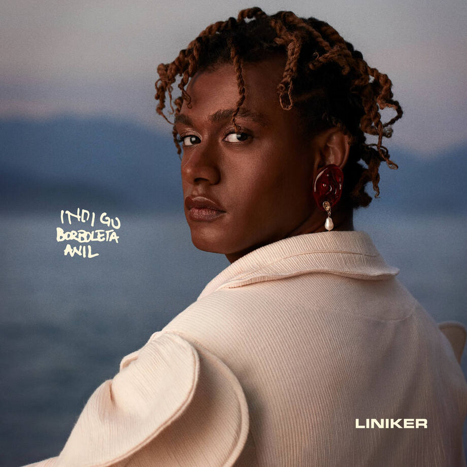 Capa do álbum 'Índigo Borboleta Anil'