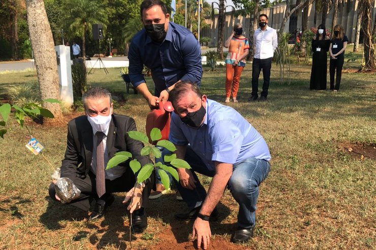 Em comemoração ao Dia da Árvore, os deputados fizeram o plantio de mudas de ipê no jardim da ALEMS
