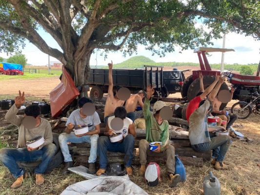 Homologado na Justiça, acordo com empregadora prevê pagamento de verbas rescisórias e indenização a grupo de imigrantes paraguaios e menores de 18 anos