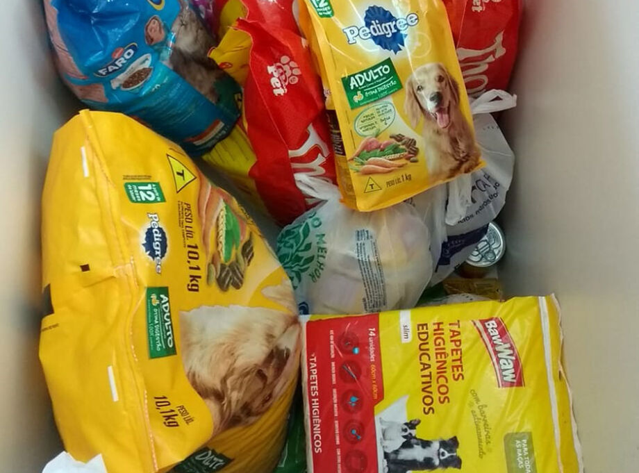 Atualmente a Cão Feliz conta com 147 cães para adoção e mais 72 em lares temporários
