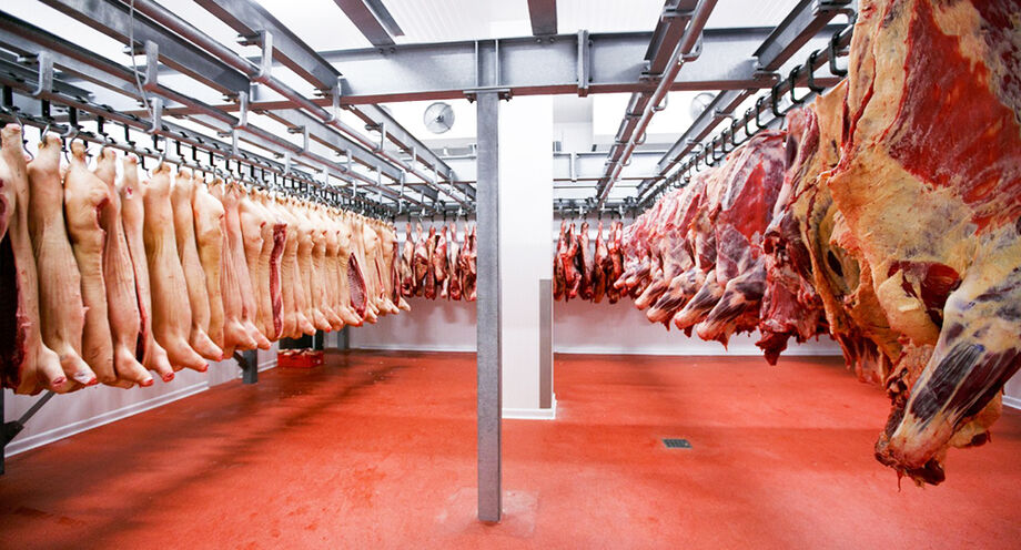 Segundo a ABPO, só no mês de agosto os pecuaristas da região pantaneira encaminharam mais de 4 mil animais para indústria frigorífica, na categoria sustentável