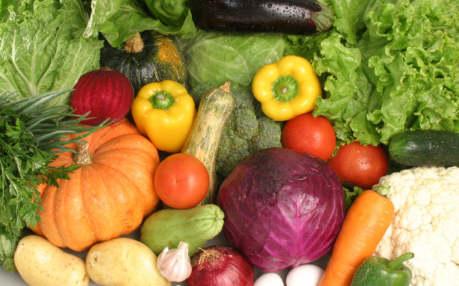 Feira Agroecológica da UFMS será realizada em novo horário a partir desta sexta, 24
