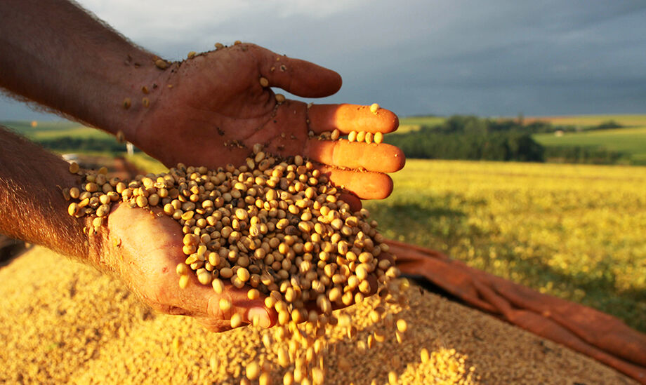 Beneficiadas por alguns efeitos da covid-19 sobre a economia, as exportações brasileiras, com destaque para as vendas de soja e de minério de ferro para a China