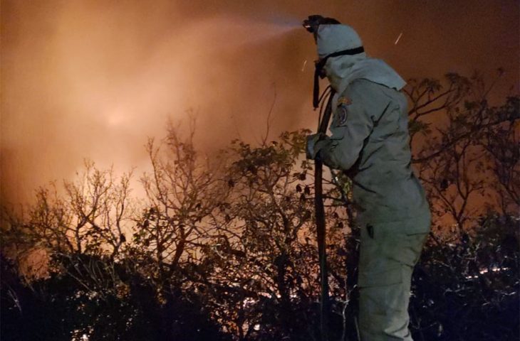 Bombeiros tentam controlar fogo no Pantanal