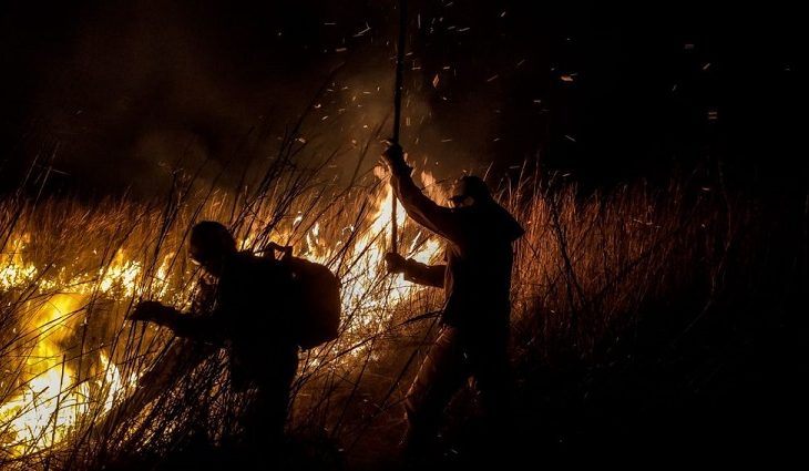 O Corpo de Bombeiros resgatou várias pessoas ribeirinhas, entre crianças e adultos, e também animais de estimação (cães e gatos), devido ao risco de a comunidade ser atingida pelo fogo, que se alastrava por conta dos fortes ventos