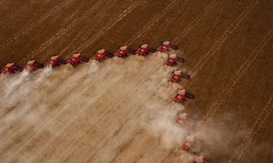 A agropecuária tem grande participação na geração de empregos em todo Brasil.