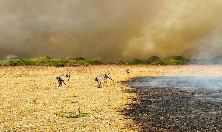 Queimadas no Pantanal