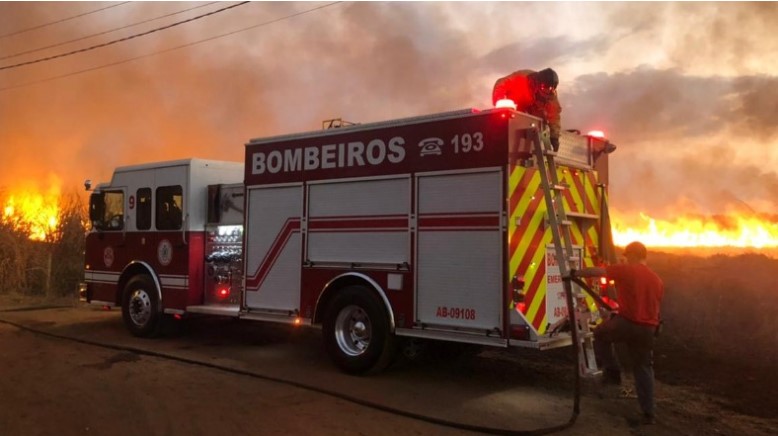 Ribeirão Preto, por exemplo, vem sofrendo com inúmeras queimadas