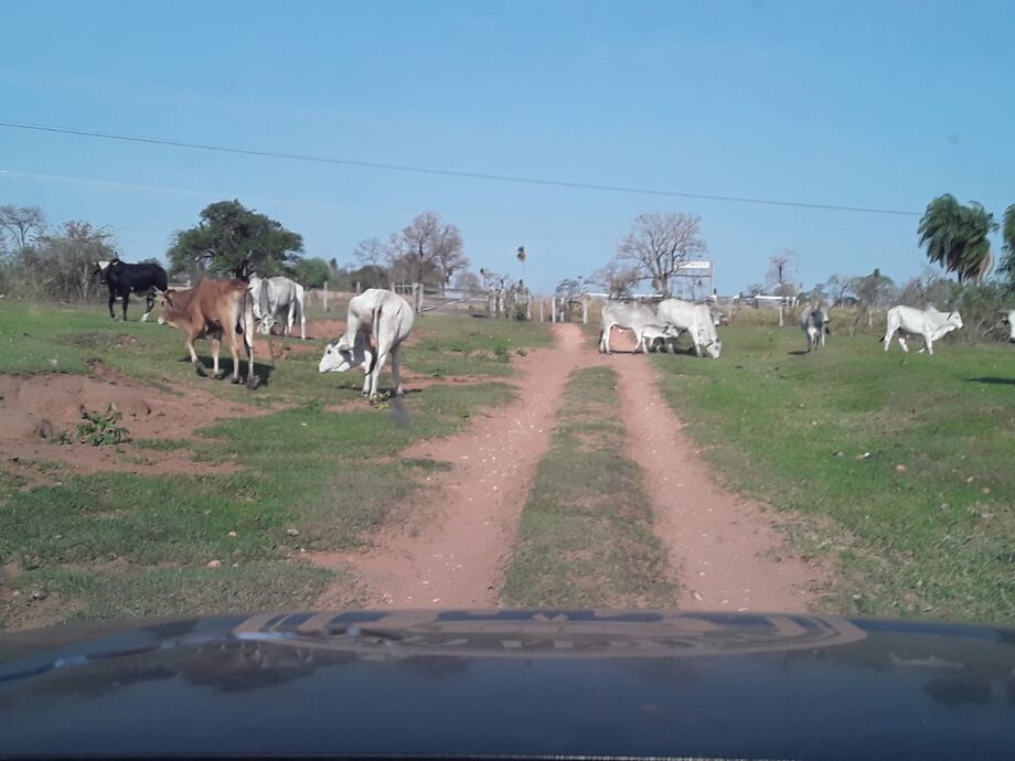 Crime em Jardim