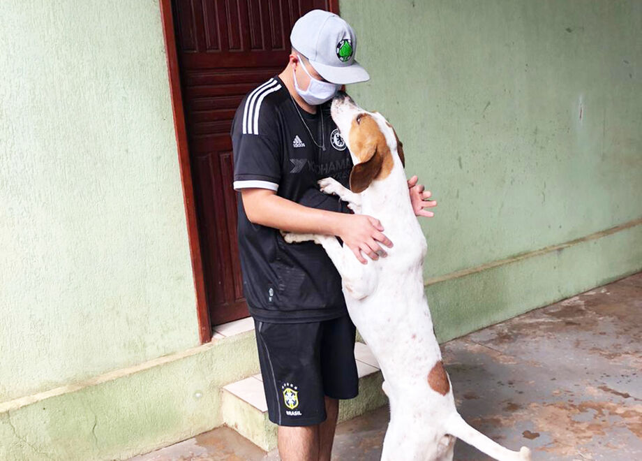Pet em lar temporário